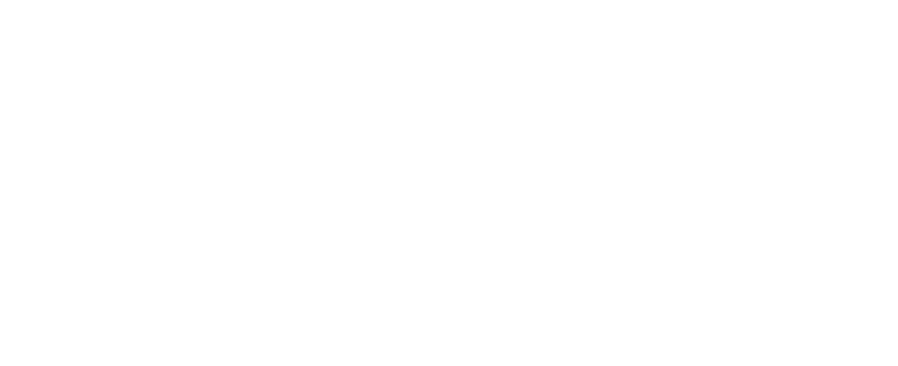 Dragon Coaching Retina Logo